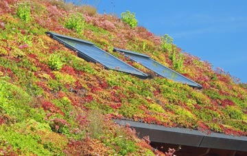 Holbeach Clough living roof systems