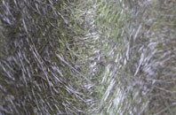 Holbeach Clough fibreglass roof work